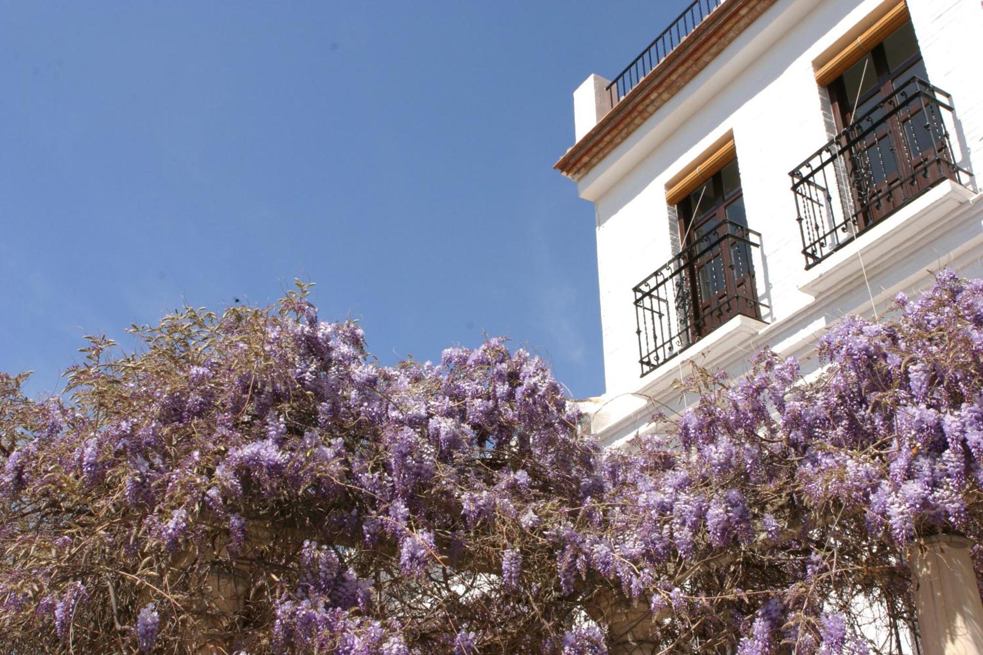 Carmen De La Alcubilla Del Caracol Hotel Granada Ngoại thất bức ảnh
